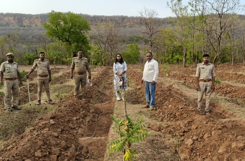 Prayagraj : बतौर प्रभारी प्रभागीय वनाधिकारी ने किया कोरांव रेंज का औचक निरीक्षण