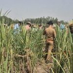 Hardoi : गन्ने के खेत मे मिला क्षत-विक्षत शव, हत्या की आशंका