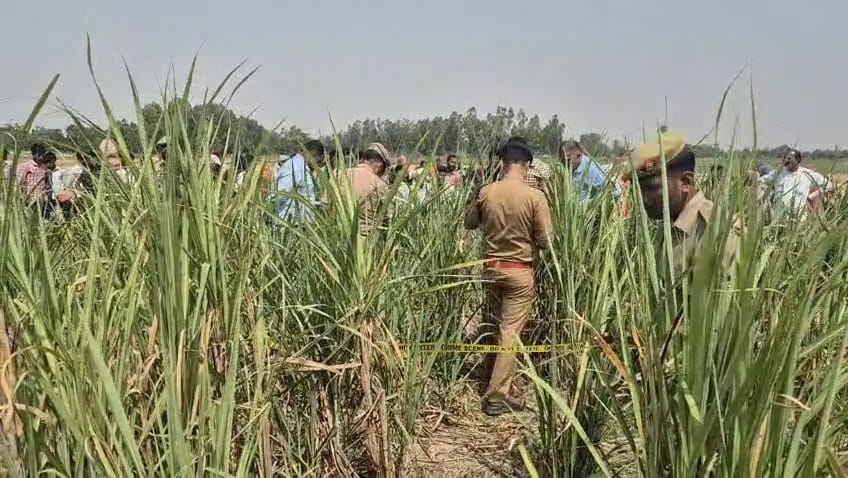 Hardoi : गन्ने के खेत मे मिला क्षत-विक्षत शव, हत्या की आशंका