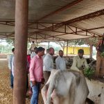 Sitapur: गौ माता की सेवा करना हम सबका धर्म: सुनील कुमार राजवंशी