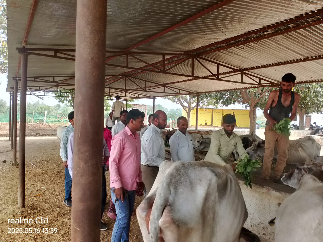 Sitapur: गौ माता की सेवा करना हम सबका धर्म: सुनील कुमार राजवंशी