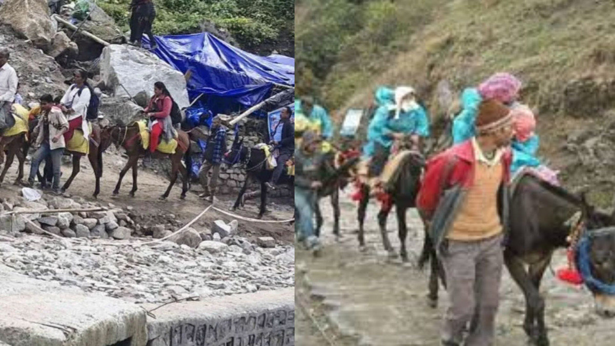केदारनाथ