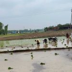 Maharajganj