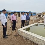 Jalaun: जिलाधिकारी ने किया कान्हा गौशाला का निरीक्षण, गौवंशों को गुड़-चना खिलाकर दिया गौसेवा का संदेश