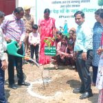 Maharajganj: डीएम ने एक पेड़ मां के नाम थीम पर वृक्षारोपण अभियान का किया शुभारंभ