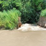 Maharajganj: नहर टूटने से फ़सलें बर्बाद, सिंचाई विभाग की बड़ी लापरवाही