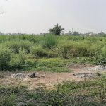 Lakhimpur: भुसौरिया गांव की उपेक्षा: न मुक्तिधाम में शांति, न विकास की कोई आस