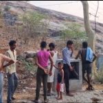 Jhansi: लकड़बग्घे की दहशत, वन विभाग ने किया रेस्क्यू, उपचार के दौरान मौत