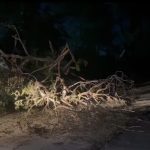 Jalaun: तेज़ रफ्तार ट्रक ने बाइक सवार युवक को रौंदा, मौत