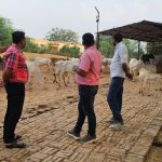 Jalaun: बीडीओ ने चार्ज सम्भालते ही दिखाए तेवर, गौशालाओं के किये ताबड़तोड़ निरीक्षण