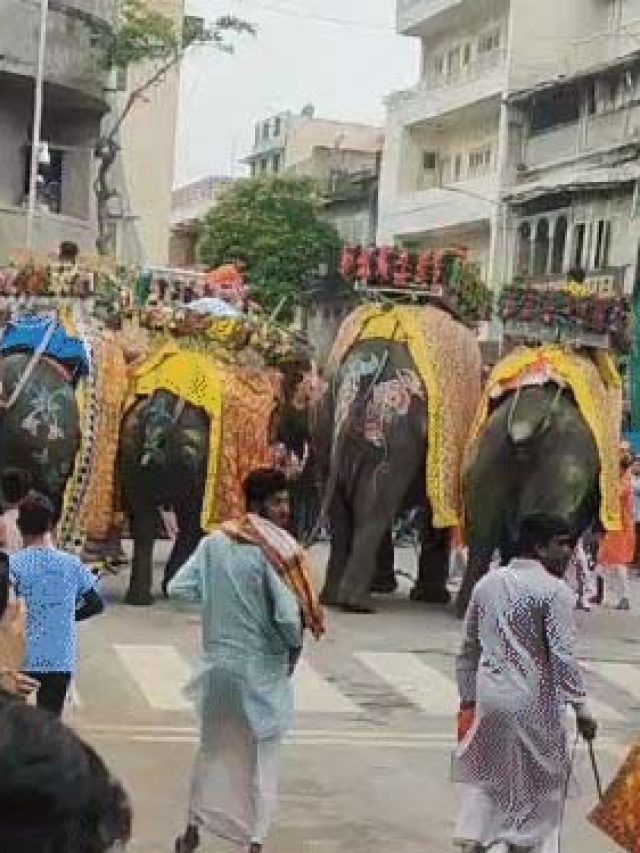 अहमदाबाद रथ यात्रा में मचा हड़कंप, बेकाबू हाथी से भगदड़
