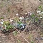 Mahoba: कार और बाइक की आमने सामने हुई जोरदार भिड़ंत, 5 की मौत, 4 घायल
