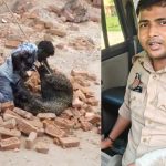 Lakhimpur: ईंट भट्ठे में घुसा तेंदुआ, हमला कर चार लोगों को किया घायल