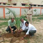 बहराइच: उपजिलाधिकारी ने तहसील परिसर में किया वृक्षारोपण