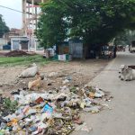 गुरसहायगंज: गौशाला में नहीं मिल रहा ठिकाना, गोवंशो ने सड़क पर डाला डेरा