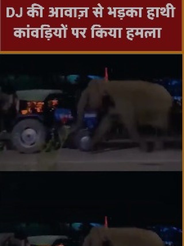 DJ की आवाज से भड़का हाथी कांवड़ियों पर किया हमला