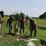 Maharajganj: तीन गांवों में अवैध शराब के खिलाफ बड़ी कार्रवाई, भारी मात्रा में लहन नष्ट, माफियाओं में मचा हड़कंप