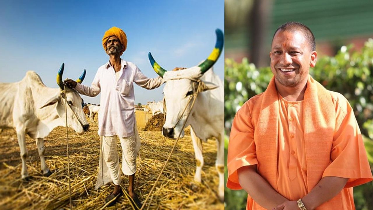 योगी सरकार का बड़ा फैसला: अब कृषि श्रमिकों को मिलेंगे 6,552 रुपये प्रतिमाह...